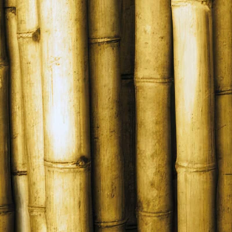 Bamboo Clear Matt